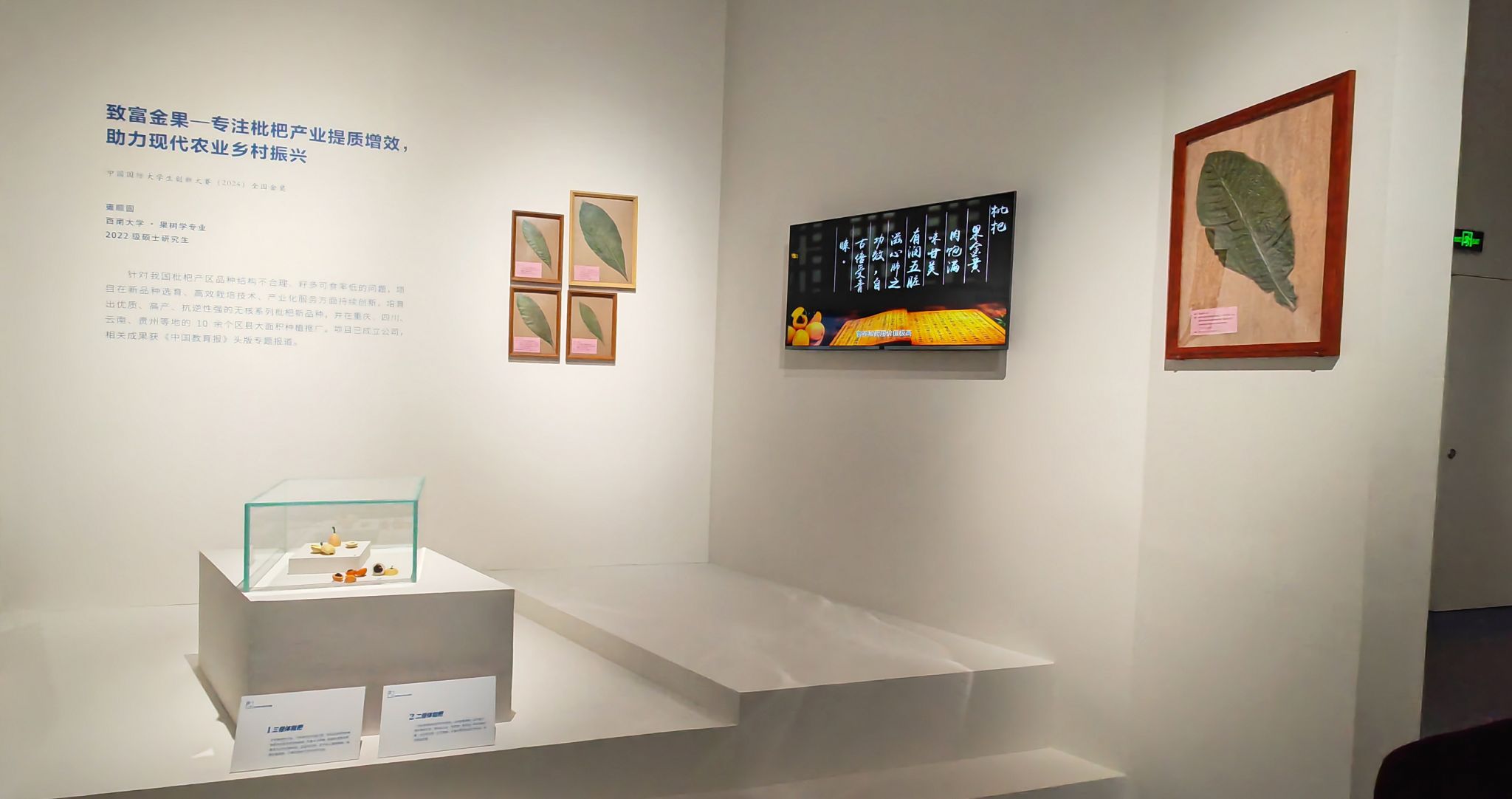 文件名称:国家展览-现场-4.jpg原图大小:2.15MB