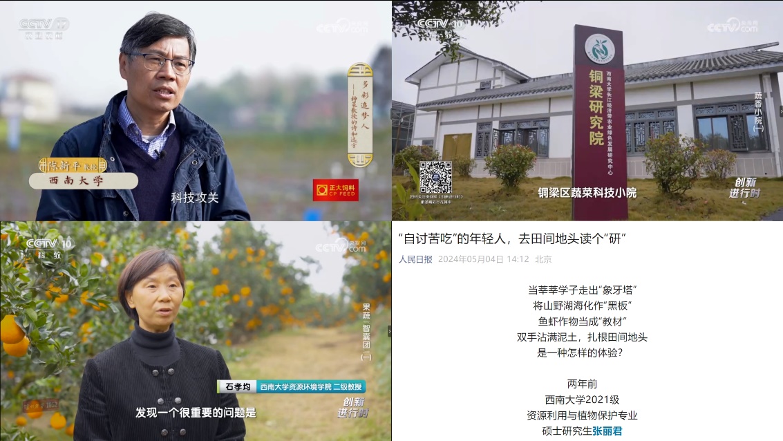 文件名称:image3.jpeg原图大小:NaNGB