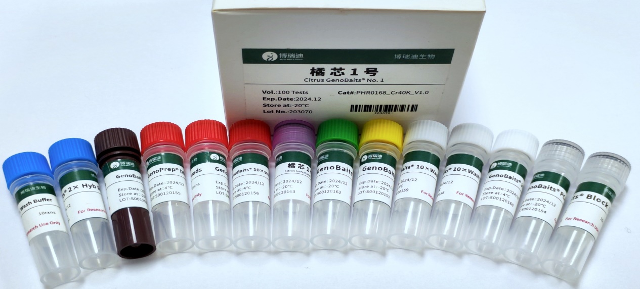 文件名称:image3.jpeg原图大小:NaNGB