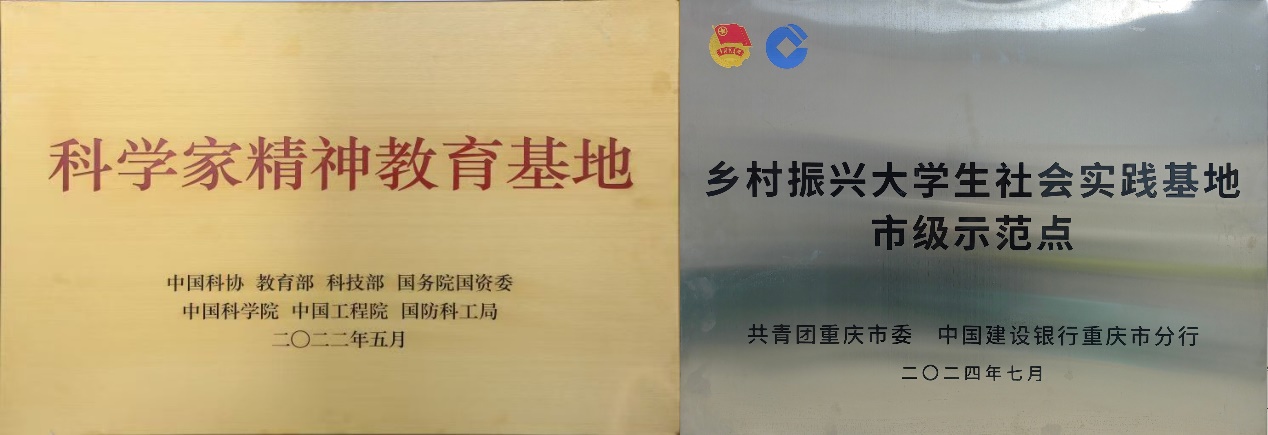 文件名称:image2.jpeg原图大小:NaNGB